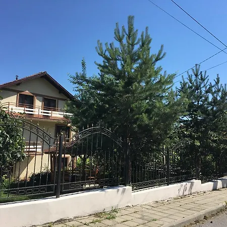 Penzion Alex *